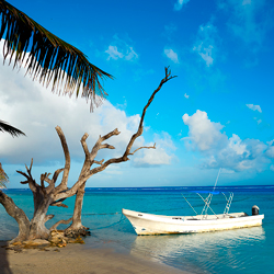 Kumahahual - Galería